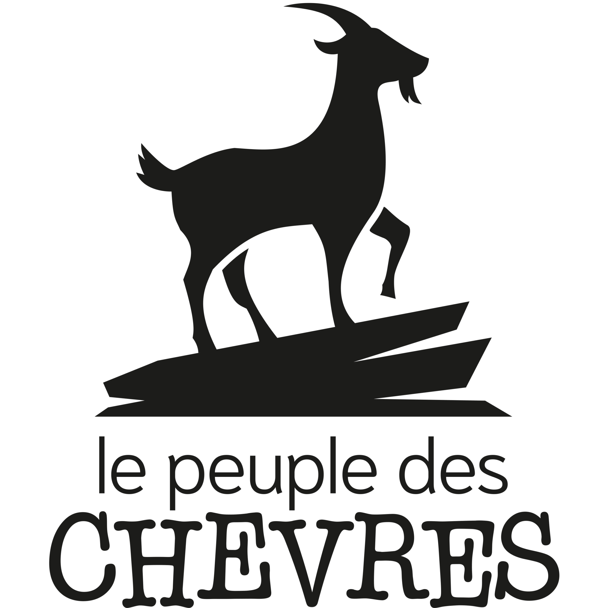 <a href="http://lepeupledeschevres.fr/accueil/" target="_blank">Le Peulple des chèvres</a>