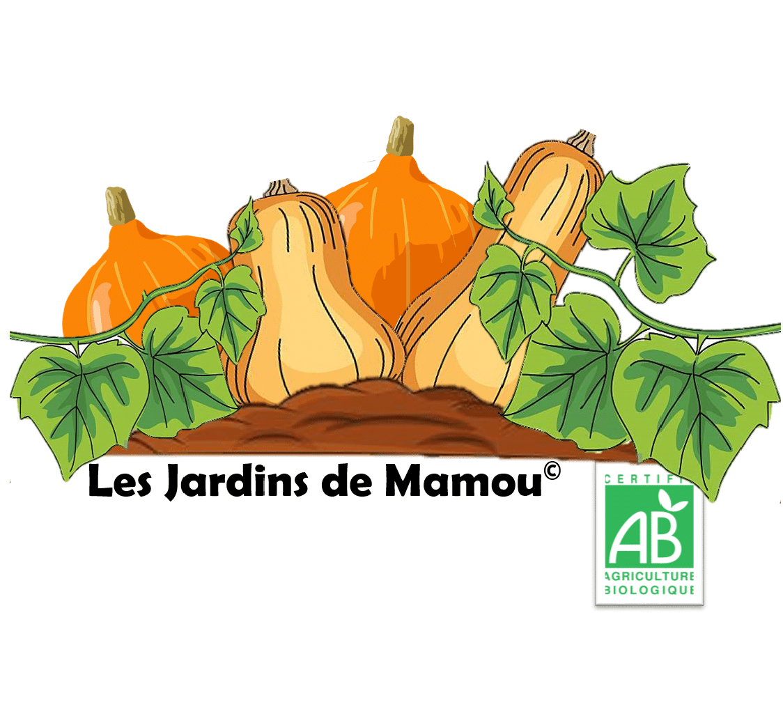 <a href="Les Jardins de Mamou" target="_blank">Les Jardins de Mamou</a>